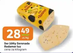 Gama Ser żółty Serenada Radamer luz oferta