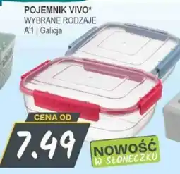Słoneczko Pojemnik Vivo* oferta