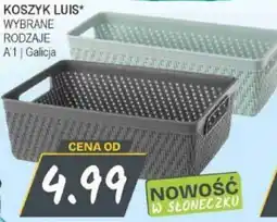Słoneczko Koszyk Luis* oferta