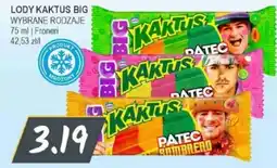 Słoneczko Lody Kaktus Big oferta