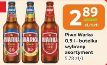 Gama Piwo Warka oferta