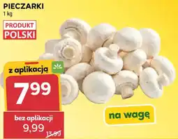 Stokrotka Pieczarki oferta