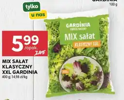Stokrotka Mix Sałat Klasyczny XXL Gardinia oferta