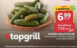 Stokrotka OGÓRKI MAŁOSOLNE oferta