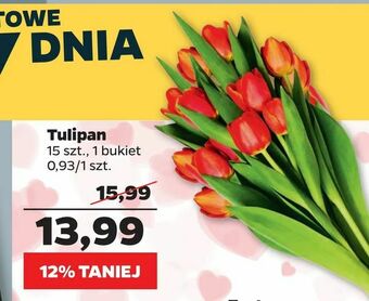 Netto Tulipan oferta