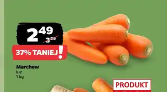 Netto Marchew oferta