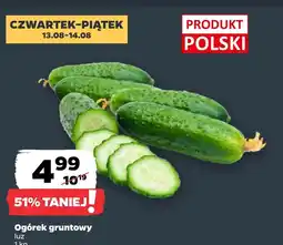 Netto Ogórek Polski oferta