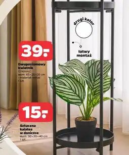 Netto Kwietnik oferta