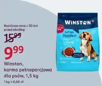 Winston, karma pełnoporcjowa dla psów