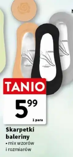Intermarche Skarpetki baleriny oferta
