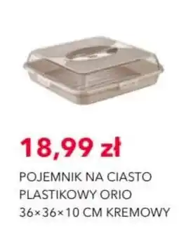 Nela Pojemnik na ciasto plastikowy Orio oferta