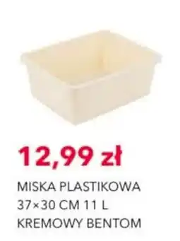 Nela Miska Plastikowa Kremowy Bentom oferta