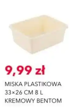 Nela Miska Plastikowa Kremowy Bentom oferta