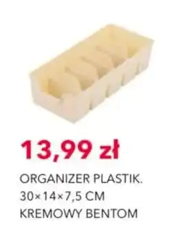 Nela Organizer Plastik Kremowy Bentom oferta