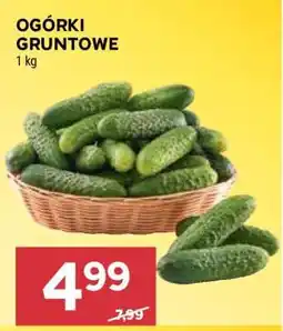 Stokrotka Market Ogórki gruntowe oferta