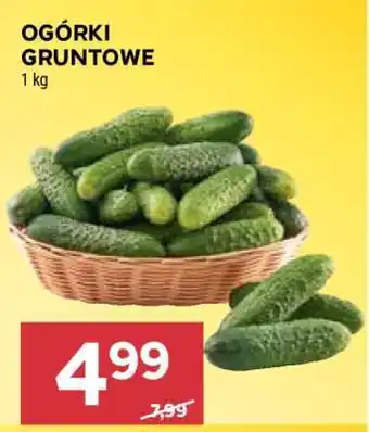 Stokrotka Market Ogórki gruntowe oferta