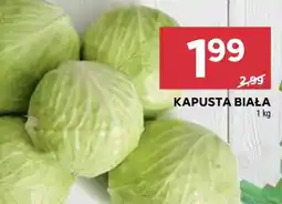 Stokrotka Market Kapusta biała oferta