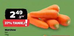 Netto Marchew oferta