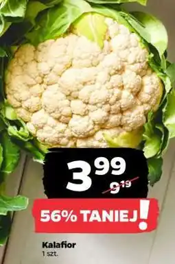 Netto Kalafior oferta