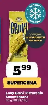 Netto Lody Gruvi Pistacchio Sammontana oferta