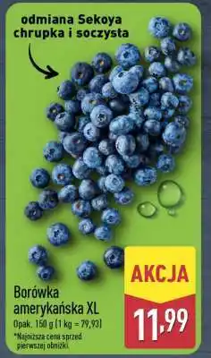 ALDI Borówka amerykańska XL oferta