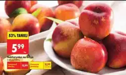 Biedronka Nektarynka na wage oferta