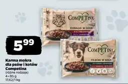 Netto Karma mokra dla psów i kotów Competina oferta