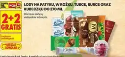 Biedronka Lody na patyku, w rożku, tubce, rurce oraz kubeczku do oferta