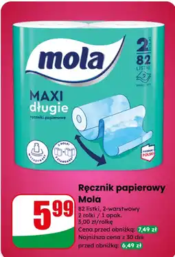 Dino Ręcznik papierowy Mola Maxi długie oferta