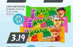 Słoneczko Lody Kaktus Big oferta