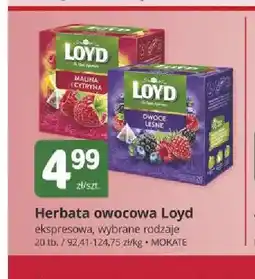 Marketvita Herbata owocowa Loyd oferta