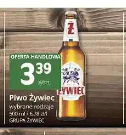 Marketvita Piwo Żywiec oferta