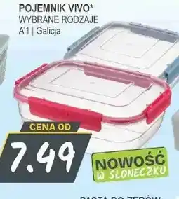 Słoneczko Pojemnik Vivo Galicja oferta