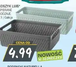 Słoneczko Koszyk Luis Galicja oferta