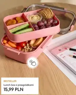 Sinsay Lunch box z przegródkami oferta