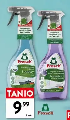 Intermarche Środek czyszczący Sodowy Frosch oferta