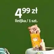 Empik Linijka Paperdot Cappy Classes oferta