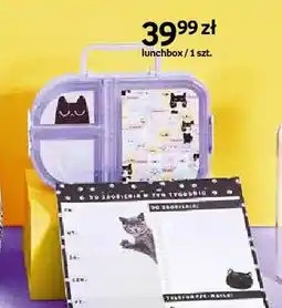 Empik Lunchbox Paperdot Purrrfect School oferta