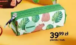 Empik Piórnik Paperdot Cappy Classes zielony oferta