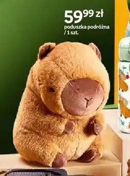 Empik Poduszka podróżna Paperdot Cappy Classes oferta