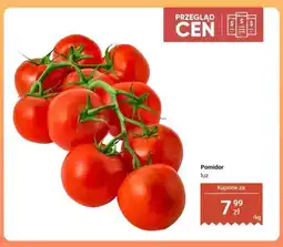 Dino Pomidor luz oferta