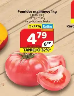 Delfin Pomidor malinowy oferta