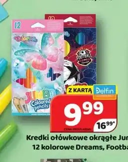 Delfin Kredki ołówkowe okrągłe Jumbo 12 kolorów Dreams oferta