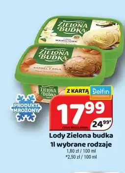 Delfin Lody Zielona Budka oferta