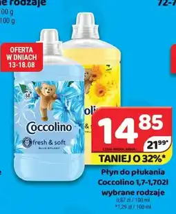Delfin Płyn do płukania Coccolino oferta