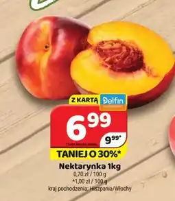 Delfin Nektarynka oferta