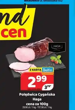 Delfin Polędwica Cygańska Haga oferta