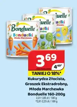 Delfin Kukurydza Złocista Bonduelle oferta