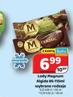 Delfin Lody Magnum Algida oferta