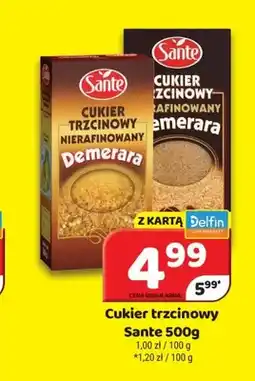 Delfin Cukier trzcinowy Sante Demerara oferta